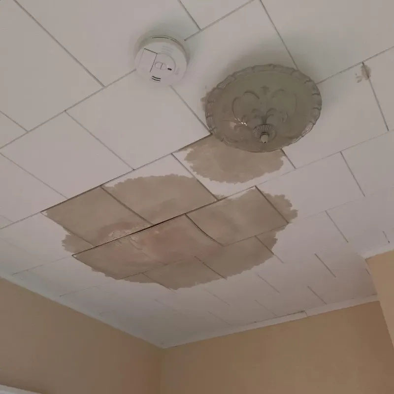 Ceiling Water Damage Repair in Cottage Grove, MN